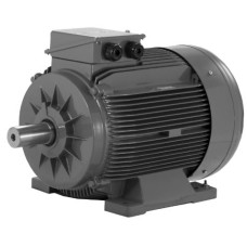 GM2E 315 LHT 4c 250 kW 1500d-d Gamak Trifaze asenkron motor